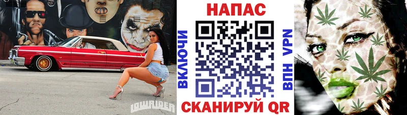 наркошоп  Кодинск  Шишки марихуана индика 